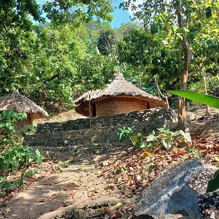 Hebergement Prive Dans La Jungle Avec Cascade Et Vue Mer! Villa Minca Exterior photo