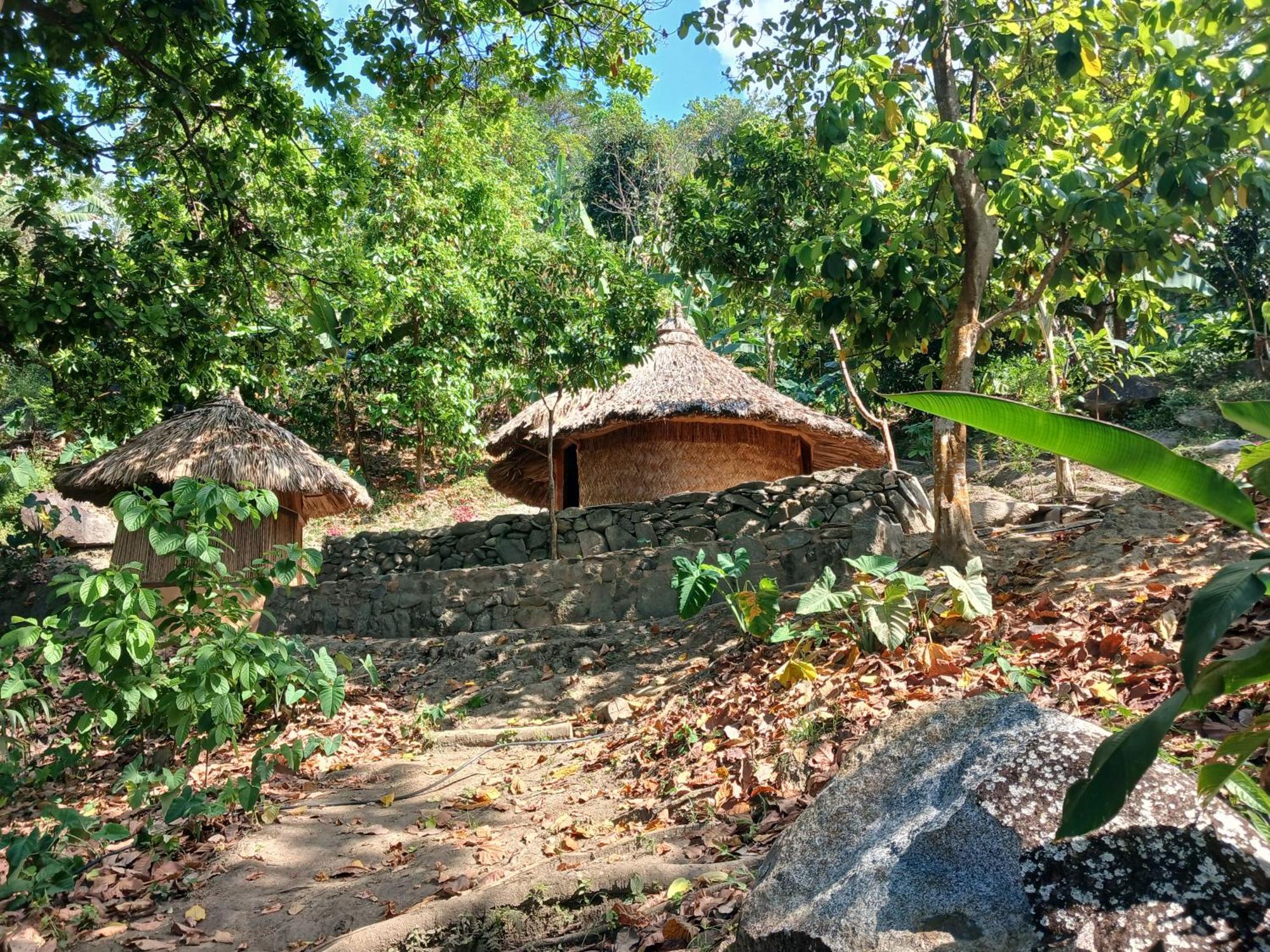 Hebergement Prive Dans La Jungle Avec Cascade Et Vue Mer! Villa Minca Exterior photo