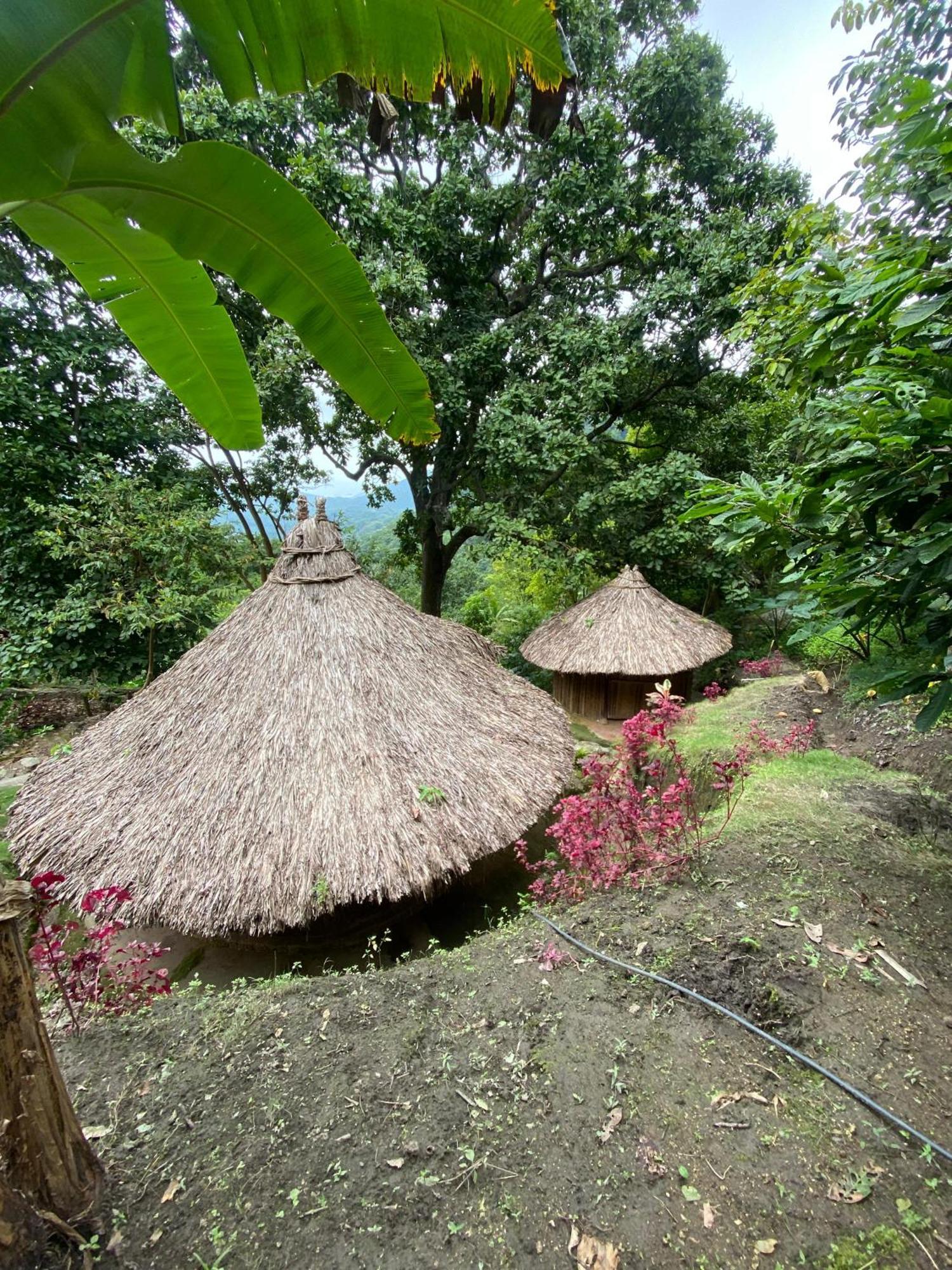 Hebergement Prive Dans La Jungle Avec Cascade Et Vue Mer! Villa Minca Exterior photo