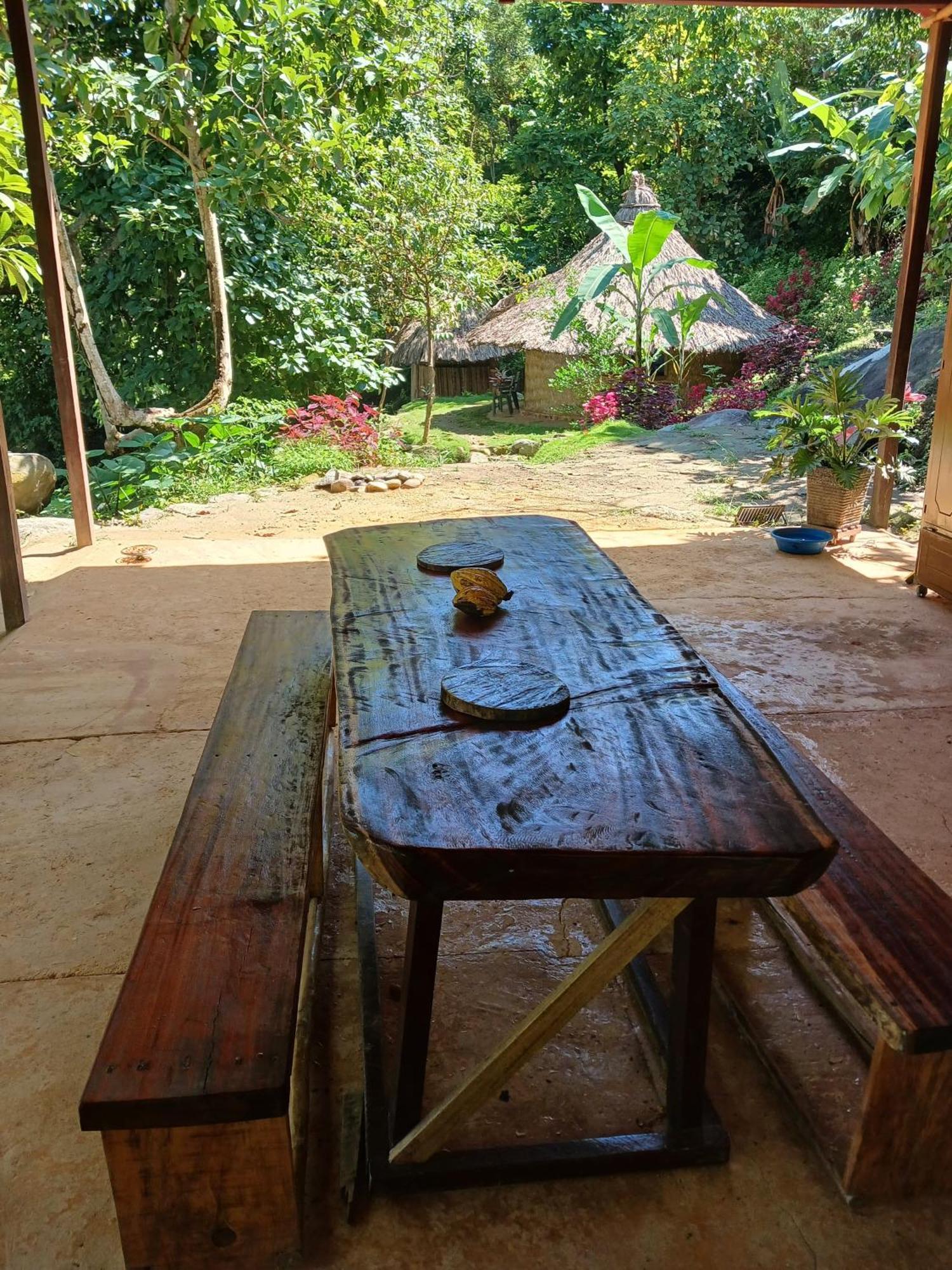 Hebergement Prive Dans La Jungle Avec Cascade Et Vue Mer! Villa Minca Exterior photo